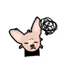 毛無し犬アンコ（個別スタンプ：33）
