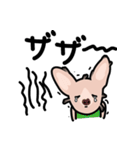 毛無し犬アンコ（個別スタンプ：37）