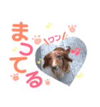 とわちゃんスタンプ（個別スタンプ：6）