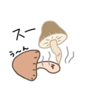 しいたけライフ（個別スタンプ：12）