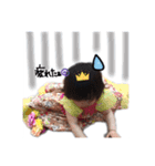 べびー ぼーい がーる（個別スタンプ：10）
