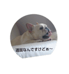 フレブル空ちゃん（個別スタンプ：1）