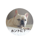 フレブル空ちゃん（個別スタンプ：4）