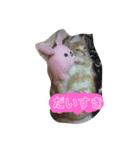 ねこ。すたんぷ。（個別スタンプ：1）