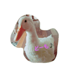 あひるのルカちゃん（個別スタンプ：3）