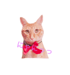 Barron（個別スタンプ：1）
