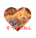 Barron（個別スタンプ：5）