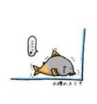 コリドラス★パラダイスすたんぷ（個別スタンプ：6）