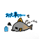 コリドラス★パラダイスすたんぷ（個別スタンプ：31）