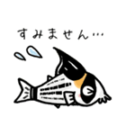 コリドラス★パラダイスすたんぷ（個別スタンプ：33）