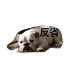 ブルドッグ大好き！！（個別スタンプ：2）