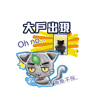 ビービー喵 - 純収益の生活（個別スタンプ：1）