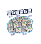 ビービー喵 - 純収益の生活（個別スタンプ：24）
