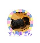 仲良し兄弟です（個別スタンプ：6）