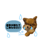 リロさんの日常生活スタンプ（個別スタンプ：16）
