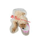愛犬ぷぅちゃん（個別スタンプ：7）