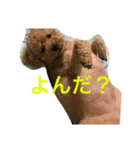 いぬもすき（個別スタンプ：2）