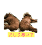いぬもすき（個別スタンプ：4）