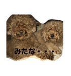 いぬもすき（個別スタンプ：7）