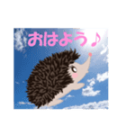 毎日ハリネズミちゃん（個別スタンプ：1）