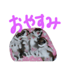 8コーギー（個別スタンプ：9）