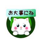 白猫の日常★毎日つかえる！（個別スタンプ：30）