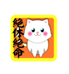 白猫の日常★毎日つかえる！（個別スタンプ：34）