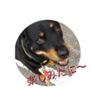 ロットな凛ちゃん（個別スタンプ：13）