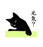 シンプル黒猫☆毎日使える▷ほんわか（個別スタンプ：20）