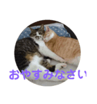 五郎＆つくね（個別スタンプ：2）