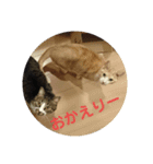 五郎＆つくね（個別スタンプ：7）