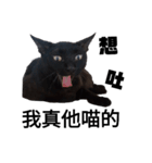 おもしろいの黒猫と花色猫（個別スタンプ：8）