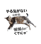 おもしろいの黒猫と花色猫（個別スタンプ：9）