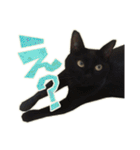 ねこにゃんとにゃっぴ（個別スタンプ：7）
