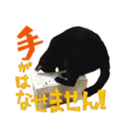 ねこにゃんとにゃっぴ（個別スタンプ：18）