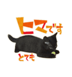ねこにゃんとにゃっぴ（個別スタンプ：22）