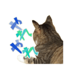 ねこにゃんとにゃっぴ（個別スタンプ：23）