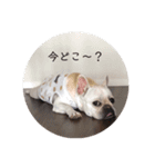フレブル Emma ①（個別スタンプ：13）