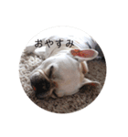 フレブル Emma ①（個別スタンプ：16）