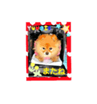 湯の家 看板犬ポメラニアンちゃん1（個別スタンプ：8）