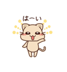 ねこ（日常編）（個別スタンプ：1）