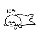 白いモフ犬の日常（個別スタンプ：22）