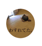 うちのお嬢3（個別スタンプ：9）