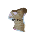日常で使えるねこスタンプ（個別スタンプ：2）