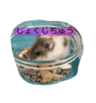 うに0617（個別スタンプ：8）
