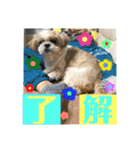 のんゆずスタンプ（個別スタンプ：8）