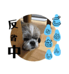 のんゆずスタンプ（個別スタンプ：9）