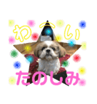 のんゆずスタンプ（個別スタンプ：16）