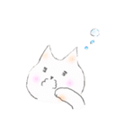 しらたまにゃんこちゃん（個別スタンプ：1）