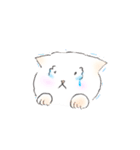 しらたまにゃんこちゃん（個別スタンプ：25）